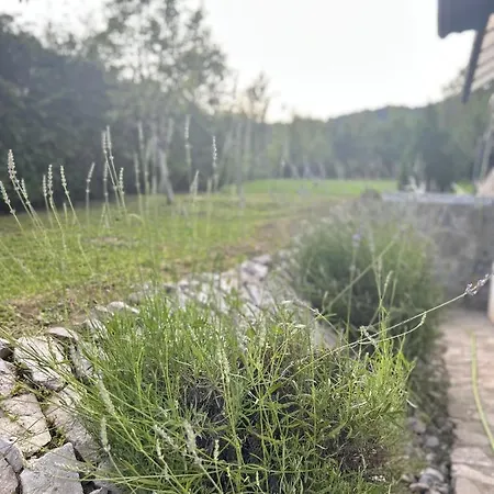 Markovi Konaci Villa *